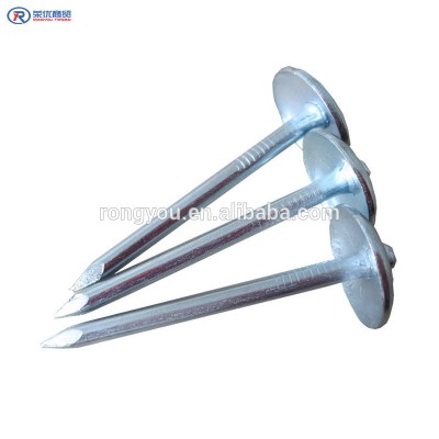 made in china 9G x 2 1/2" galvanized umbrella head roofing nails