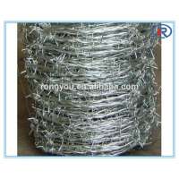 galvanized barbed wire barb wire fencing