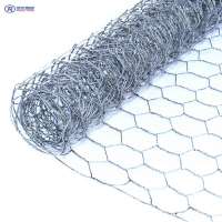 low price small hole galvanized hexagonal decorative chicken house wire mesh