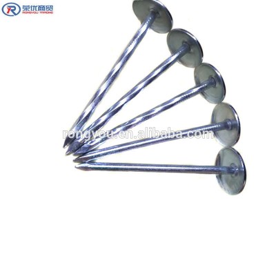 Galvanized Umbrella Head Roofing Nails With Smooth/Twist Shank