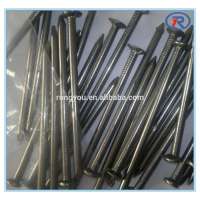 cheap price Building common wire nail Construction iron nail